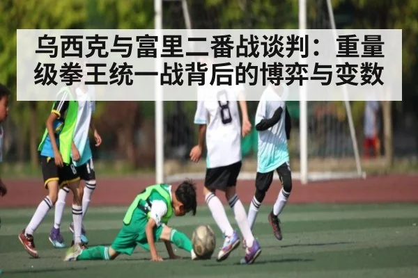 乌西克与富里二番战谈判：重量级拳王统一战背后的博弈与变数