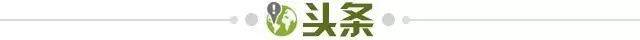 a96b060c-838c-4029-8a50-1ec7aa92ed99.jpg@!img01