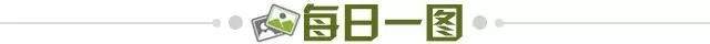 e872b01b-16da-4fcf-a589-89b2ac0290bd.jpg@!img01